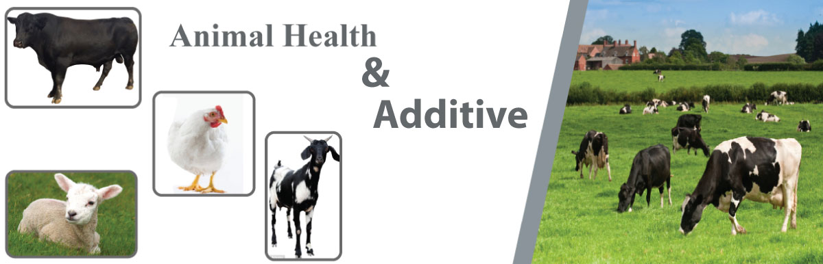 Animal Health & Additive