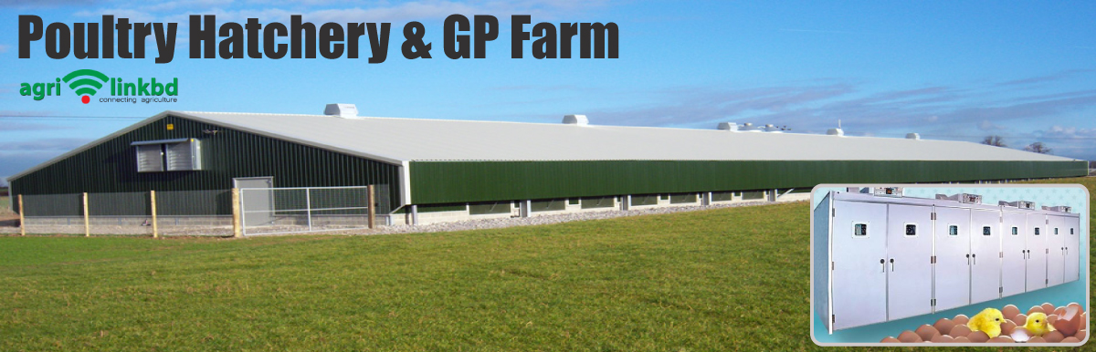 Poultry Hatchery & GP Farm