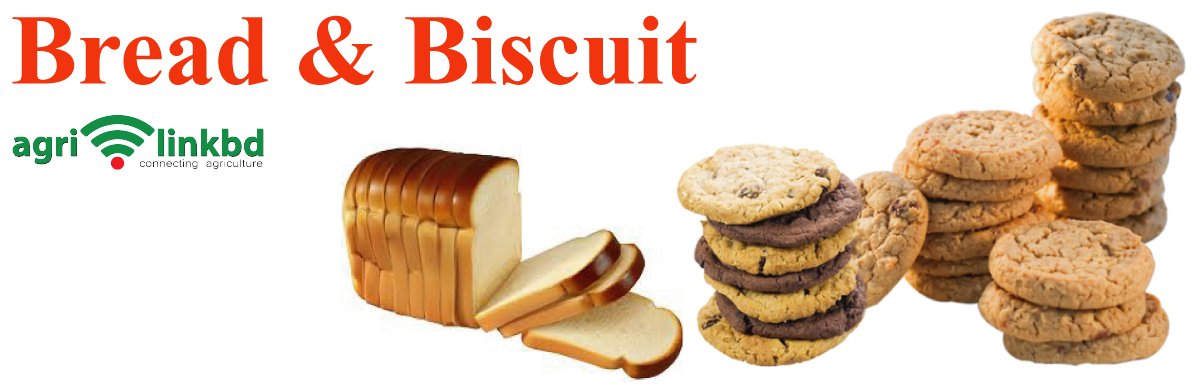 Bread & Biscuit