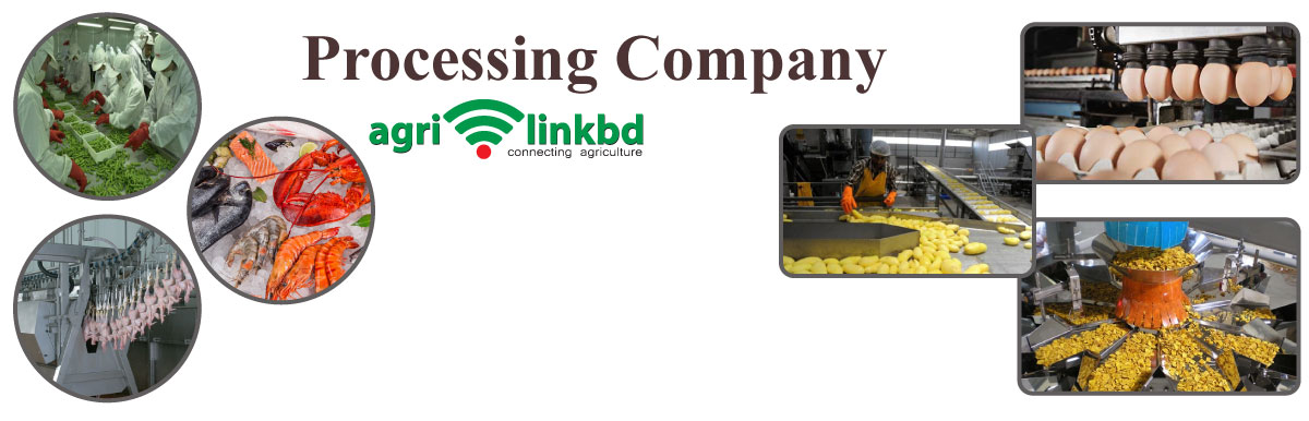 Processing Company