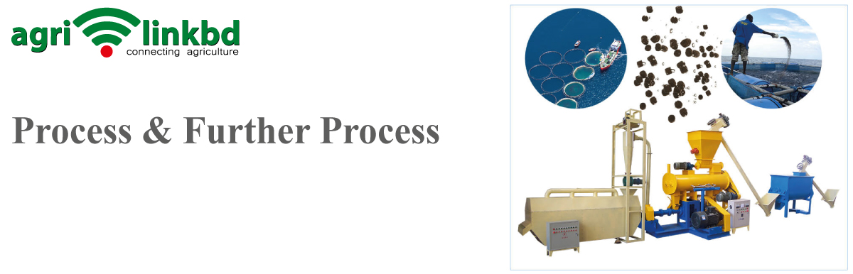 Process & Further Process