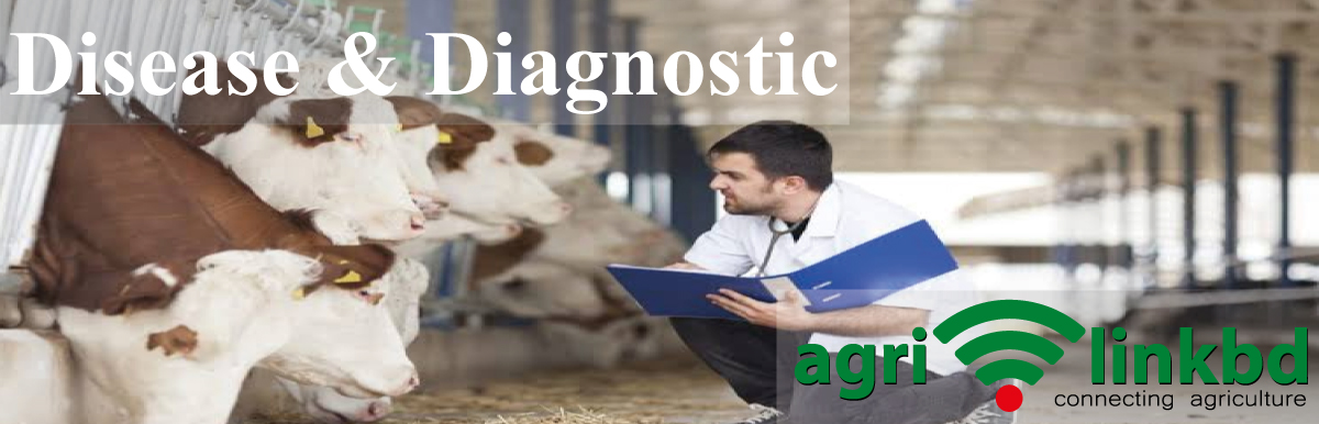 Disease & Diagnostic