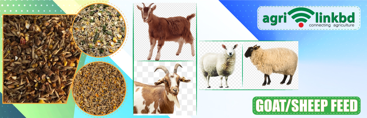 Goat/Sheep Feed