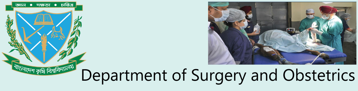 Surgery & Obstetrics