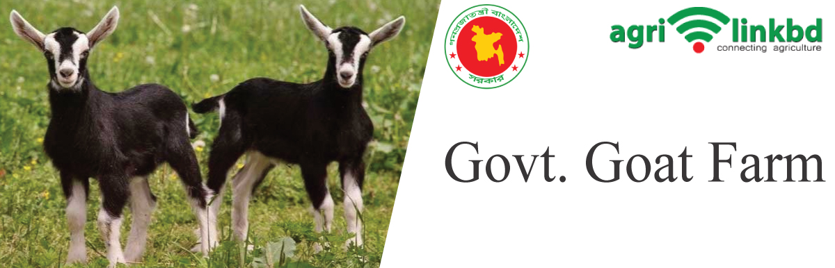Govt. Goat Farm