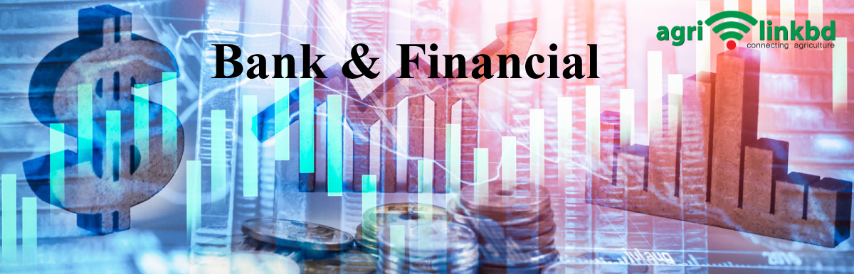 Bank & Financial
