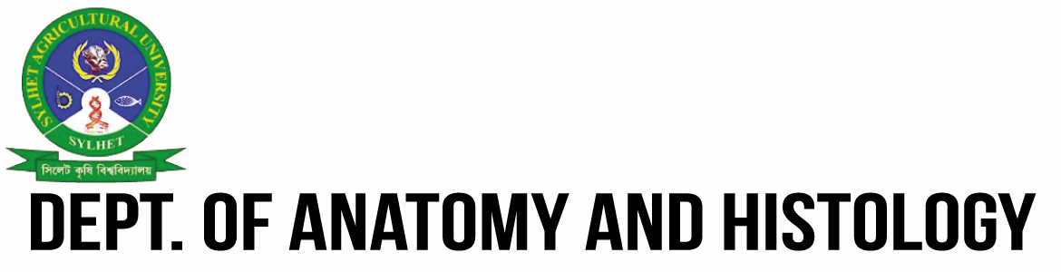 Anatomy and Histology