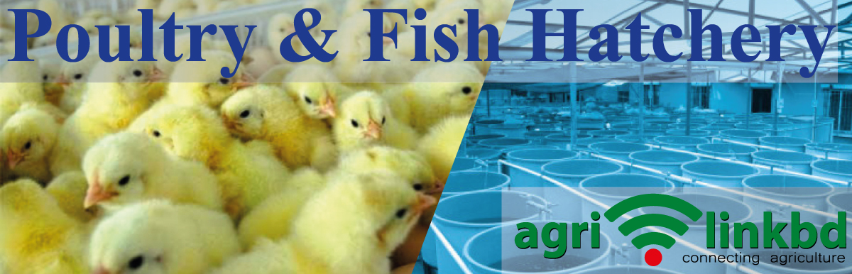 Poultry & Fish Hatchery