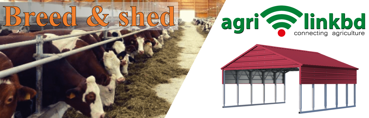Breed & Shed