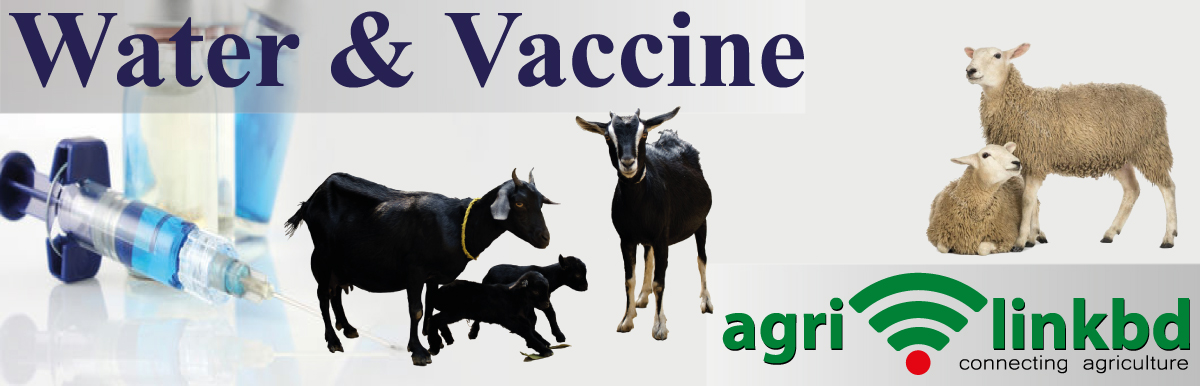 Water & Vaccine
