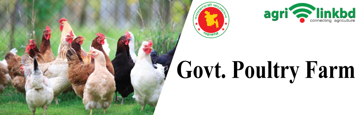 Govt. Poultry Farm